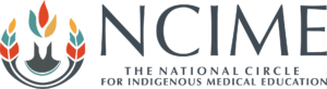 Indigenous Chief Executive Officer (CEO)